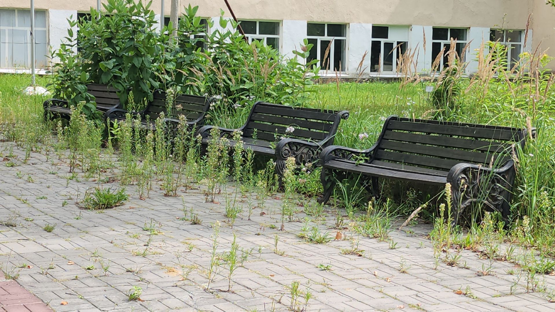 выездная администрация, орехово-зуево,