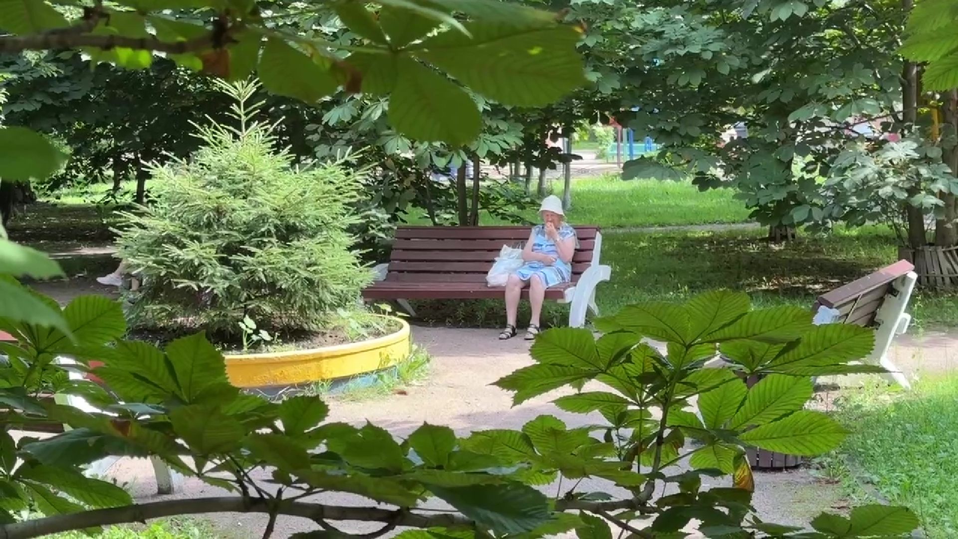 Реутов, каштановый сквер, деревья, благоустройство,