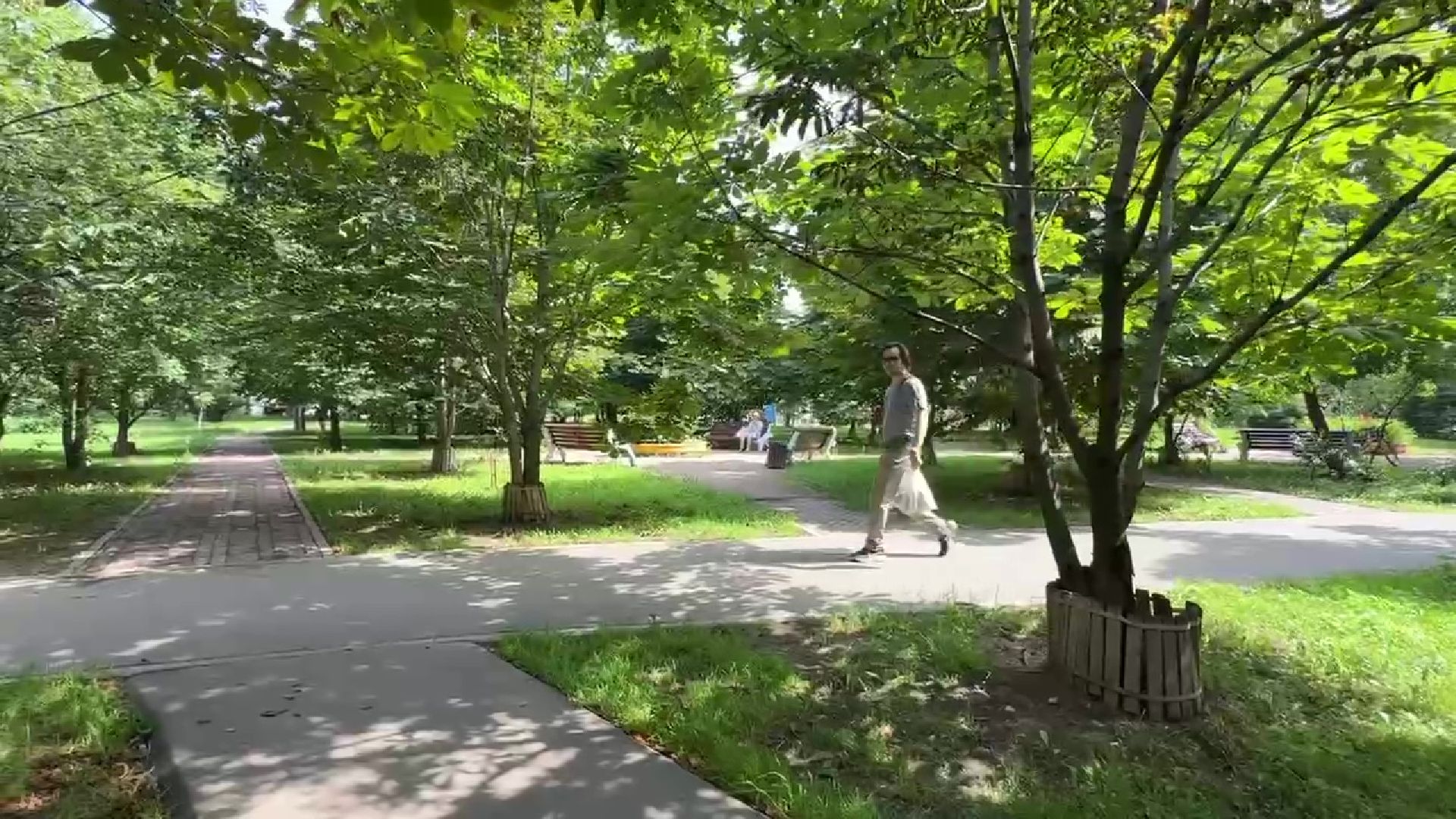 Реутов, каштановый сквер, деревья, благоустройство,