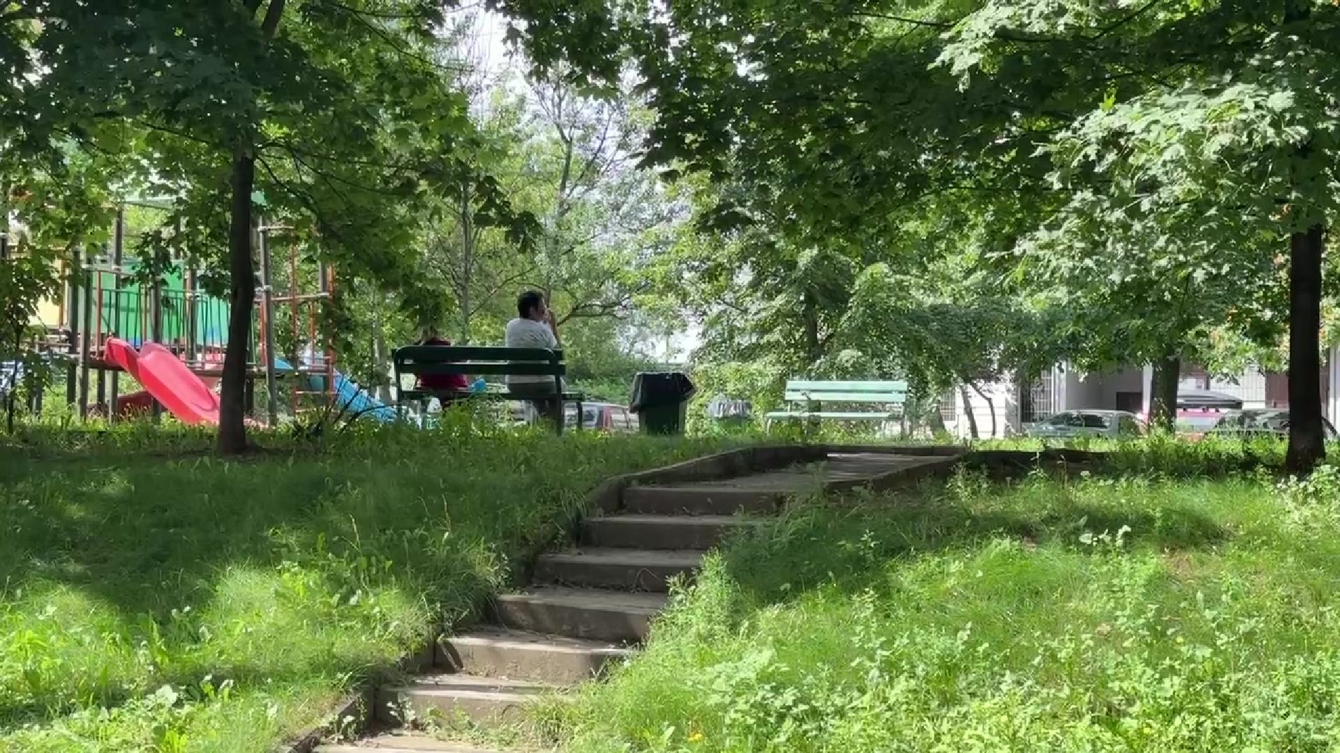 Реутов, каштановый сквер, деревья, благоустройство,