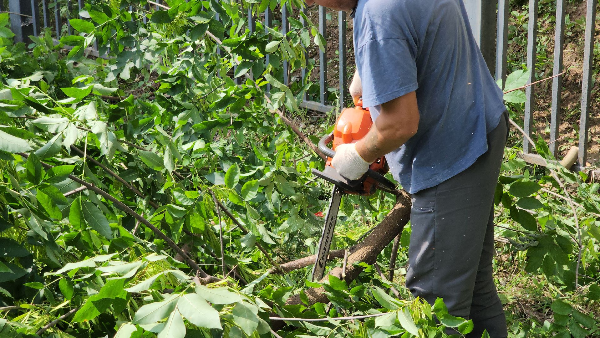 сергиево-посадский городской округ, хотьково, Бульвар художников, благоустройство,