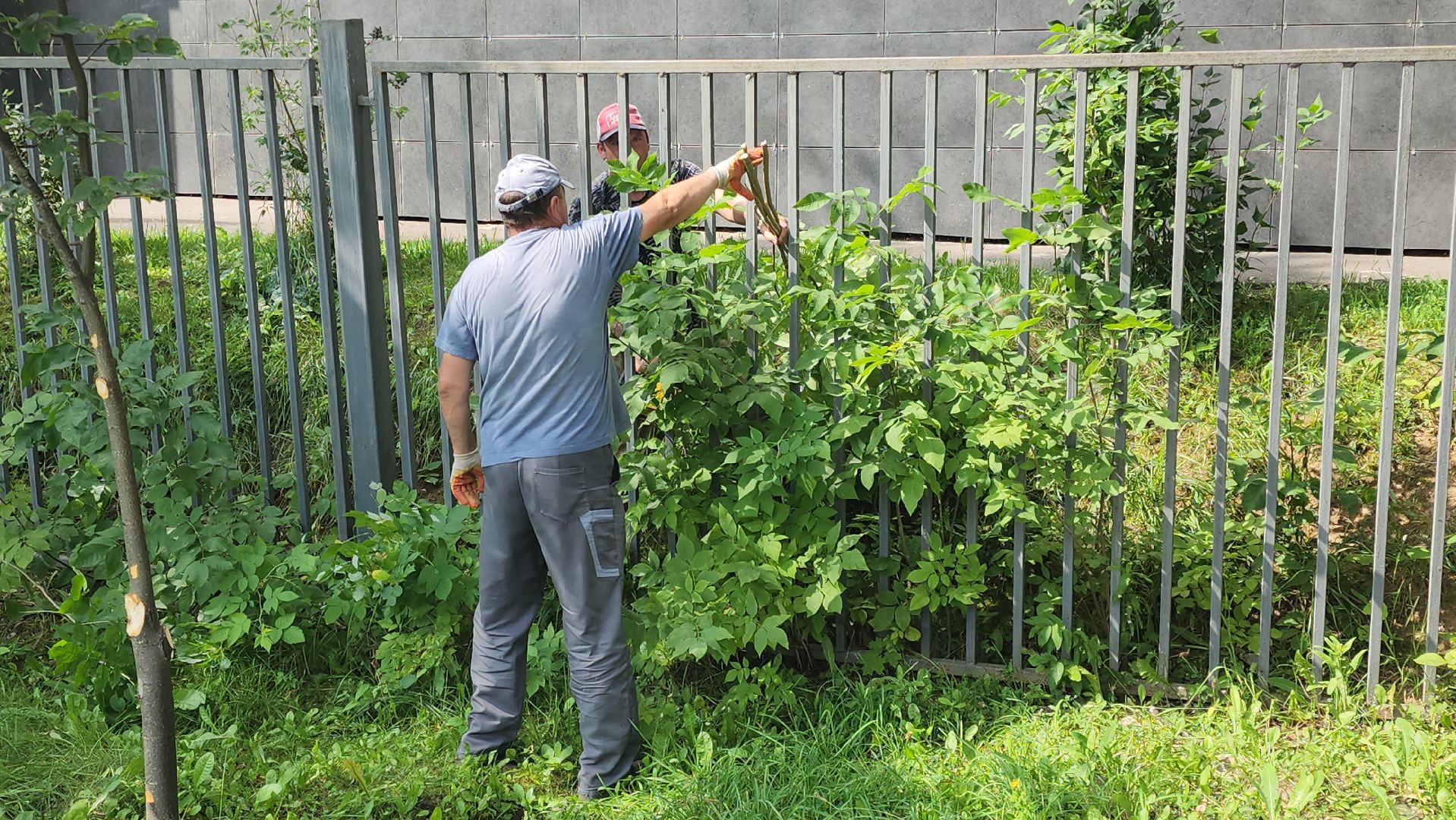 сергиево-посадский городской округ, хотьково, Бульвар художников, благоустройство,