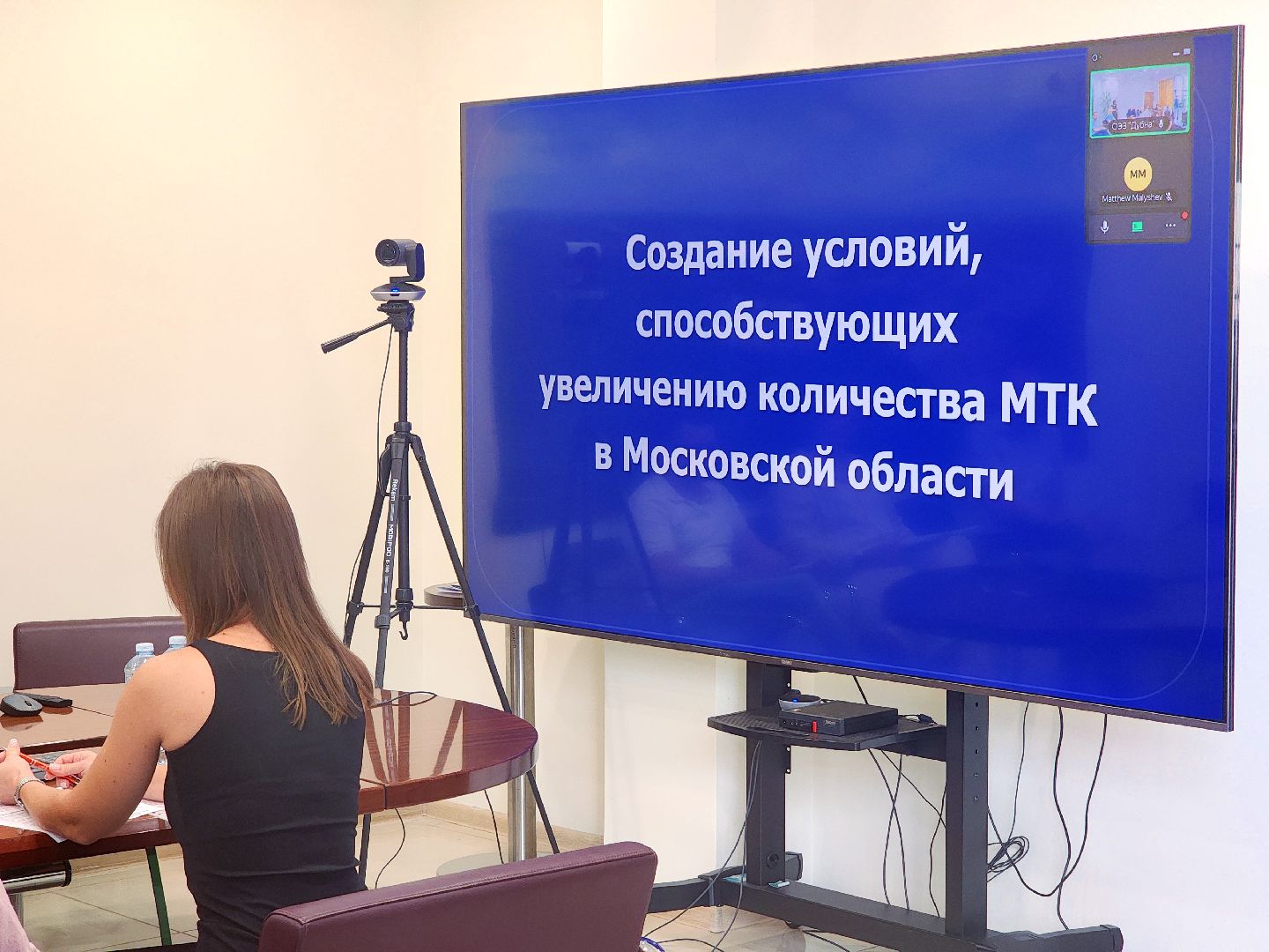 дубна, оэз дубна, особая экономическая зона,