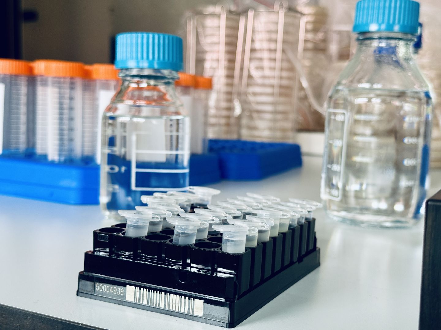 сельское хозяйство, раменское, быково, наука,исследования,