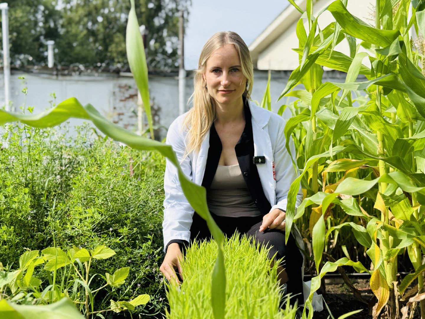 сельское хозяйство, раменское, быково, наука,исследования,