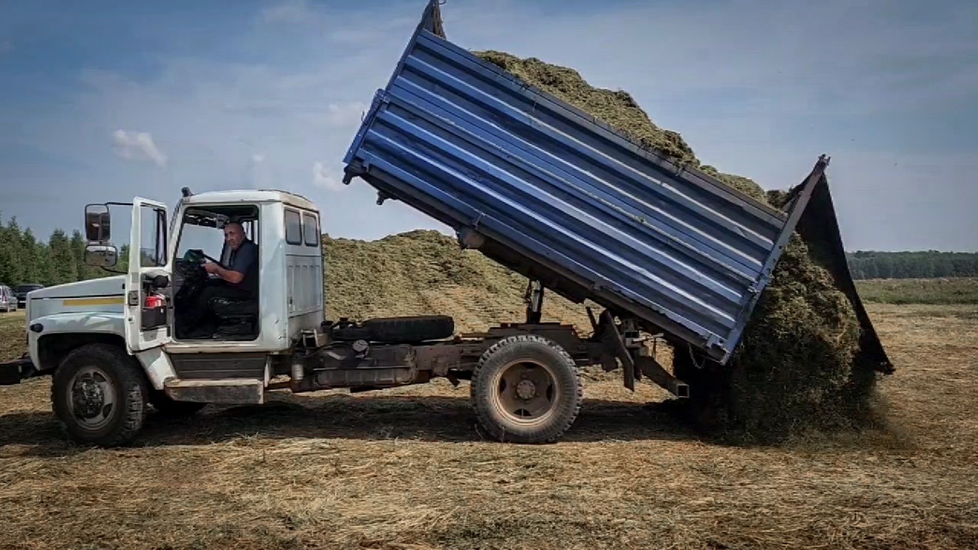 бронницы, сельскохозяйственное предприятие , заготовка кормов, заготовка сена, заготовка сенажа для коров,