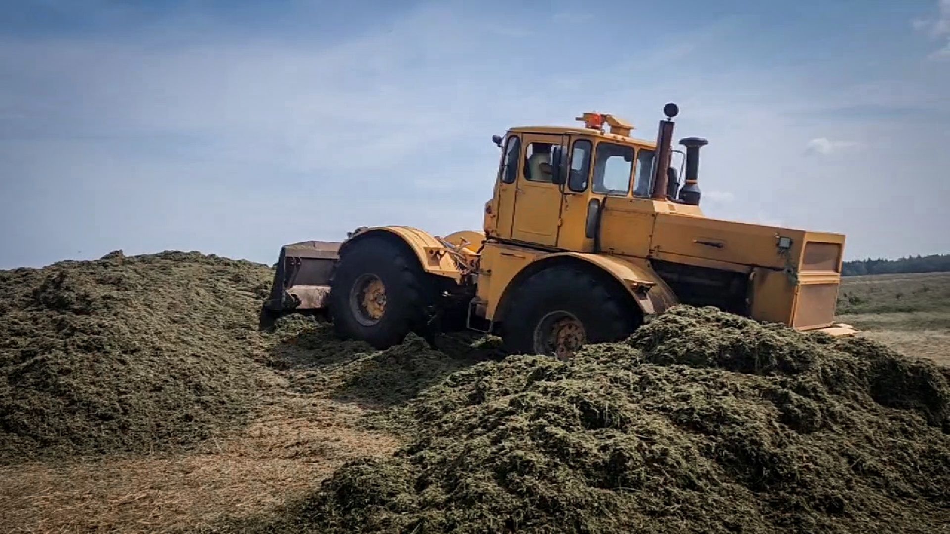 бронницы, сельскохозяйственное предприятие , заготовка кормов, заготовка сена, заготовка сенажа для коров,