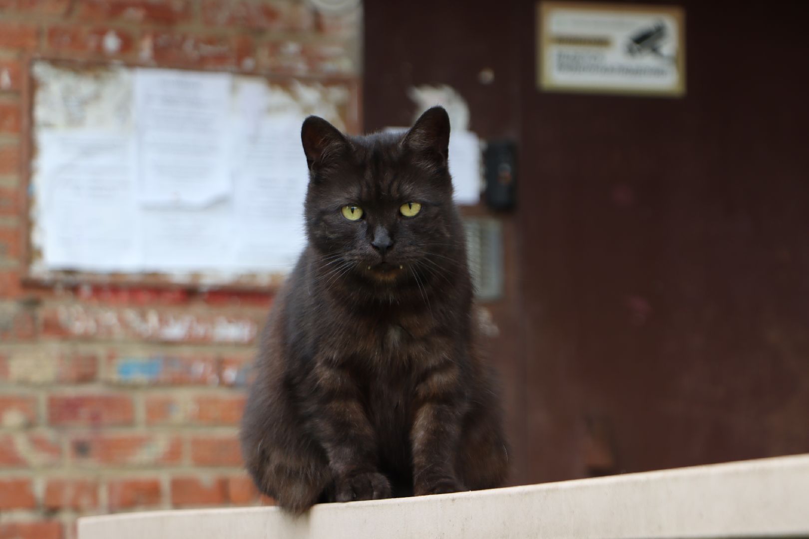 зарайск, ремонт подъездов, мкд, жкх,