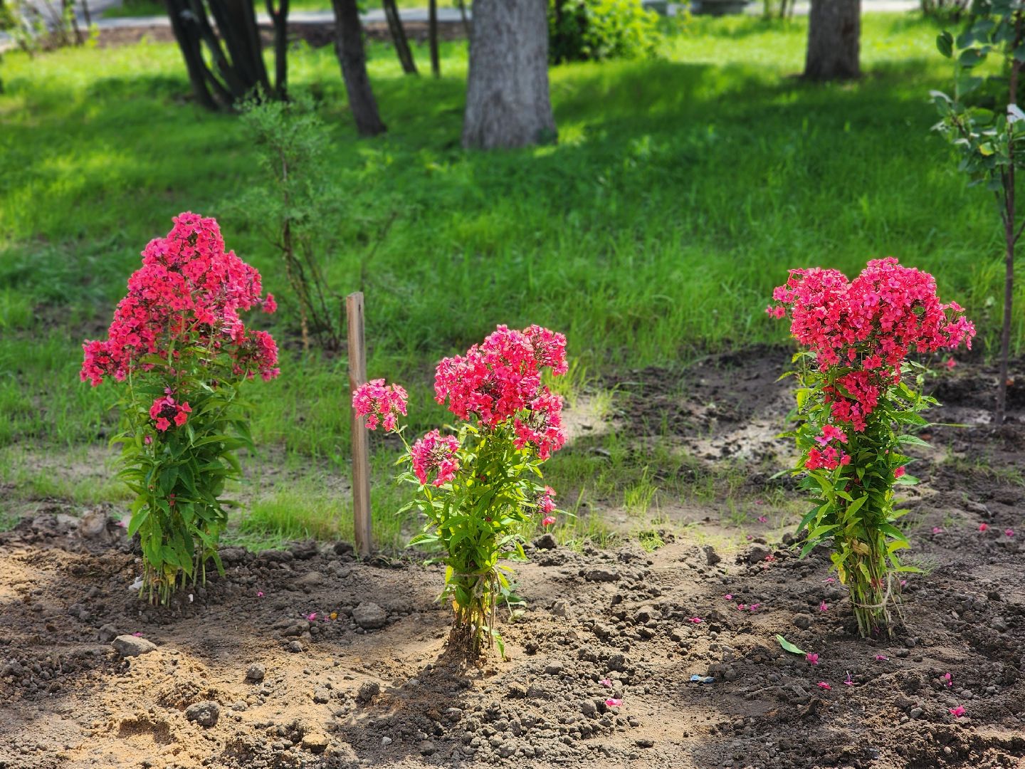 королёв,  капитальный ремонт, сквер у ракетно-космической корпорации энергия, губернатор московской области,