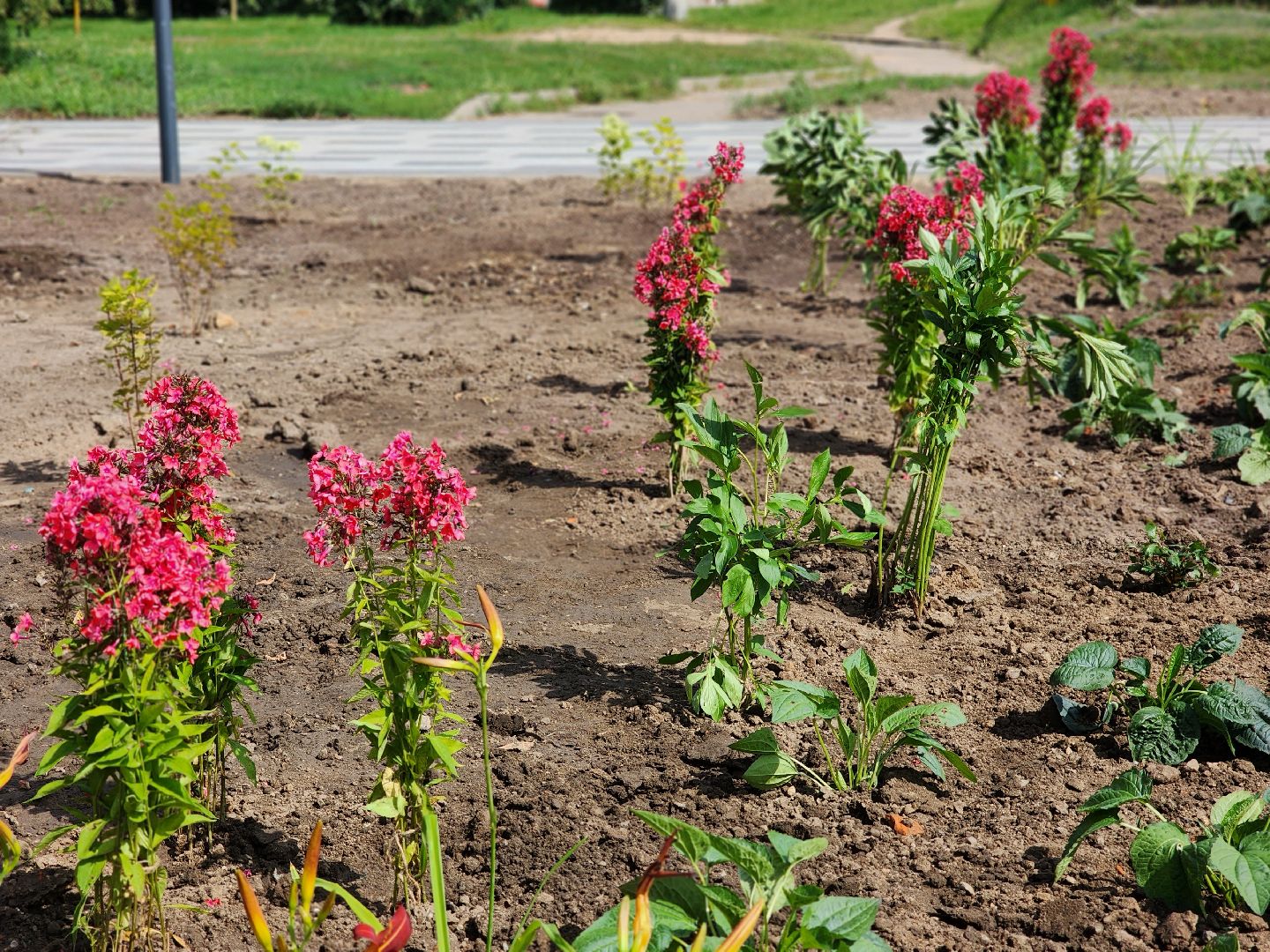 королёв,  капитальный ремонт, сквер у ракетно-космической корпорации энергия, губернатор московской области,