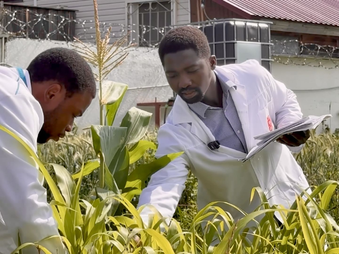 раменское, быково, сельское хозяйство, исследование, РУДН, международные связи,