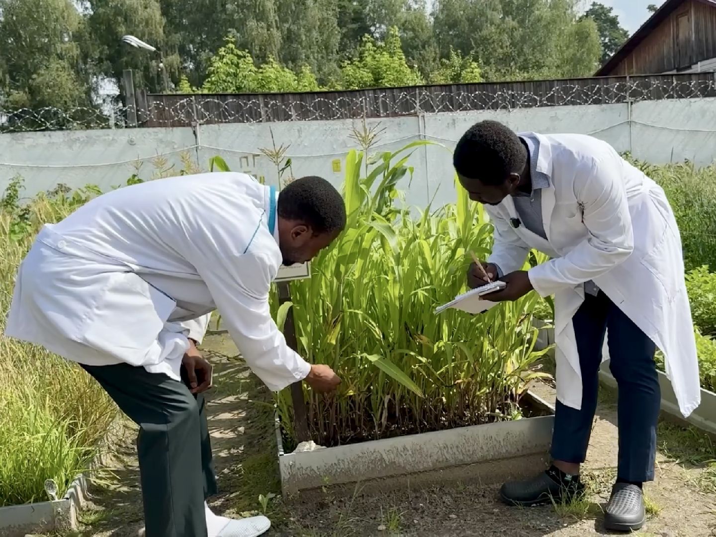раменское, быково, сельское хозяйство, исследование, РУДН, международные связи,