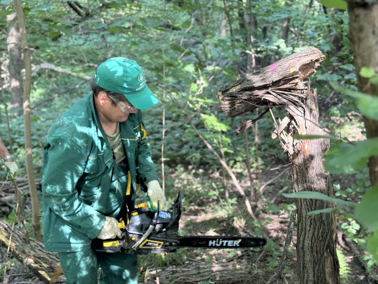 вырубка деревьев, ленинский городской округ, парки видного, санитарная обрезка деревьев,