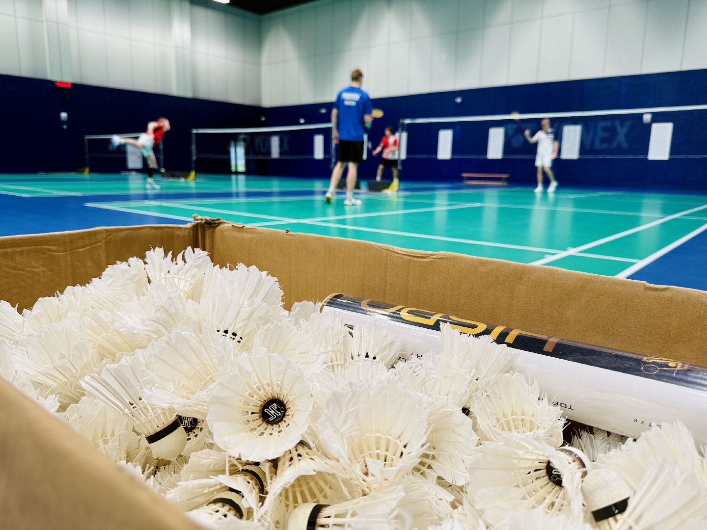 раменское, бадминтон, фок, дворец спорта борисоглебский,сборная россии,