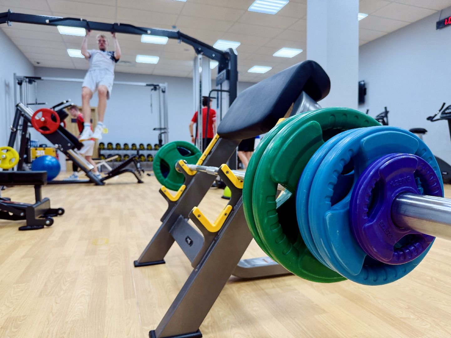 раменское, бадминтон, фок, дворец спорта борисоглебский,сборная россии,