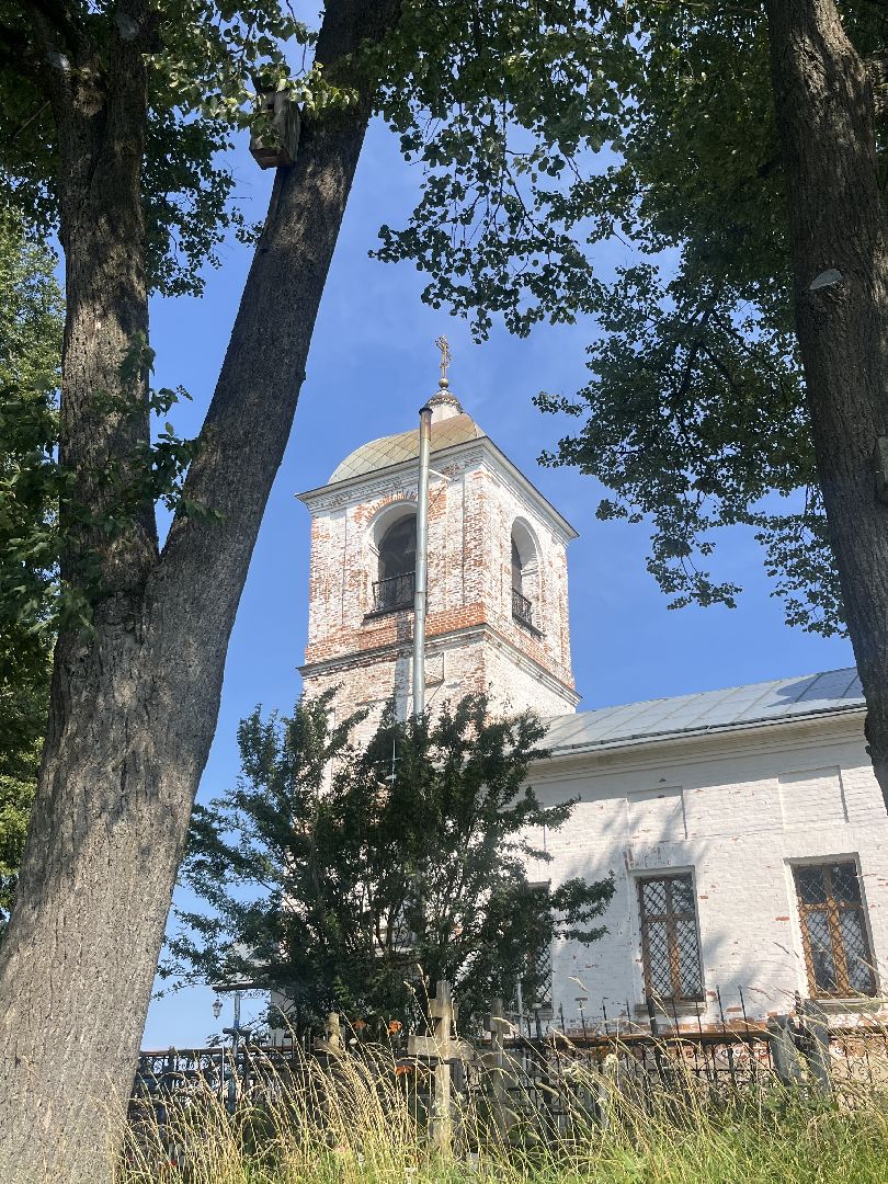 наро-фоминский городской округ, аисты, Красная книга, деревня слепушкино, преображенский храм в слепушкине,