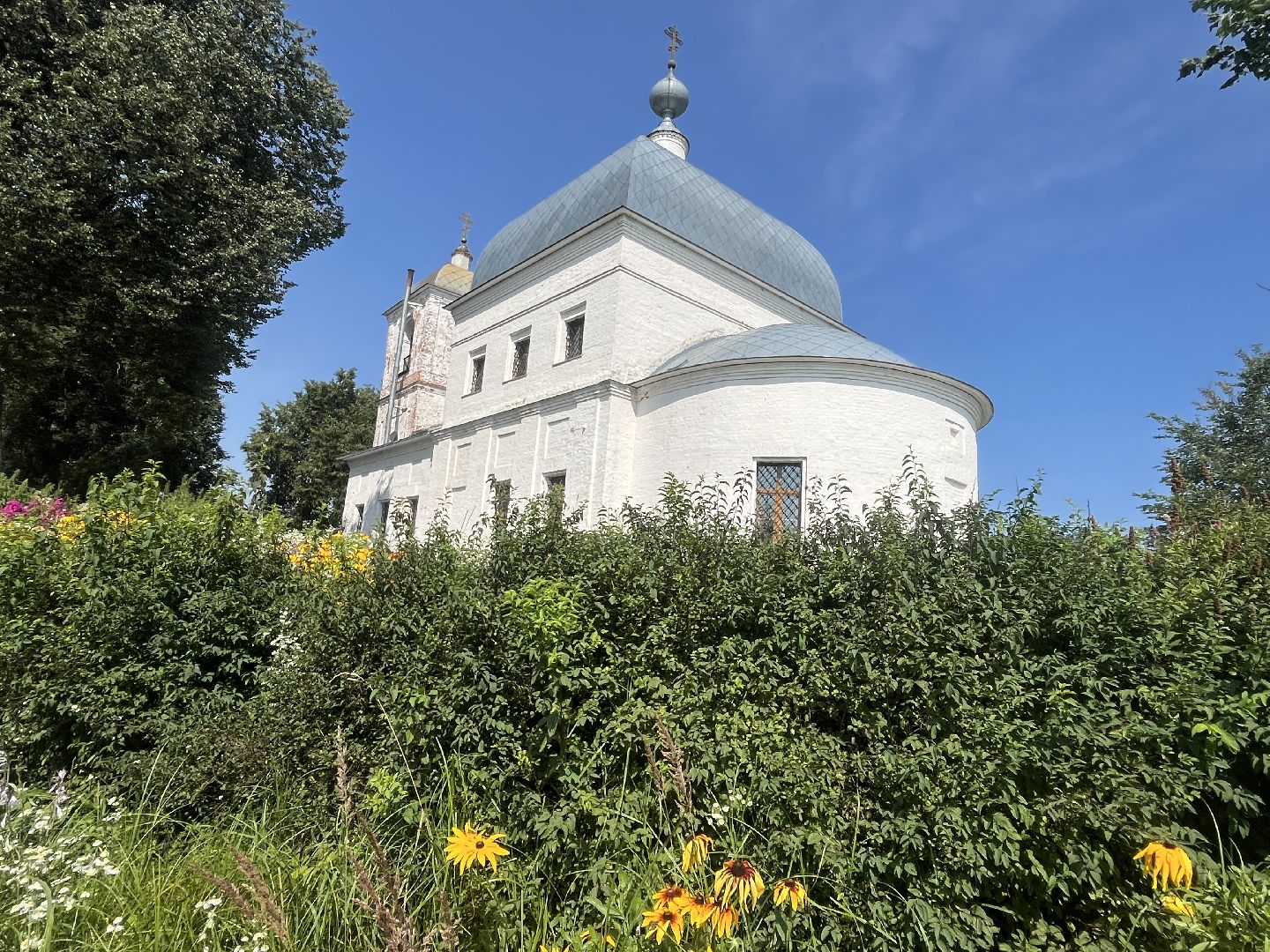 наро-фоминский городской округ, аисты, Красная книга, деревня слепушкино, преображенский храм в слепушкине,