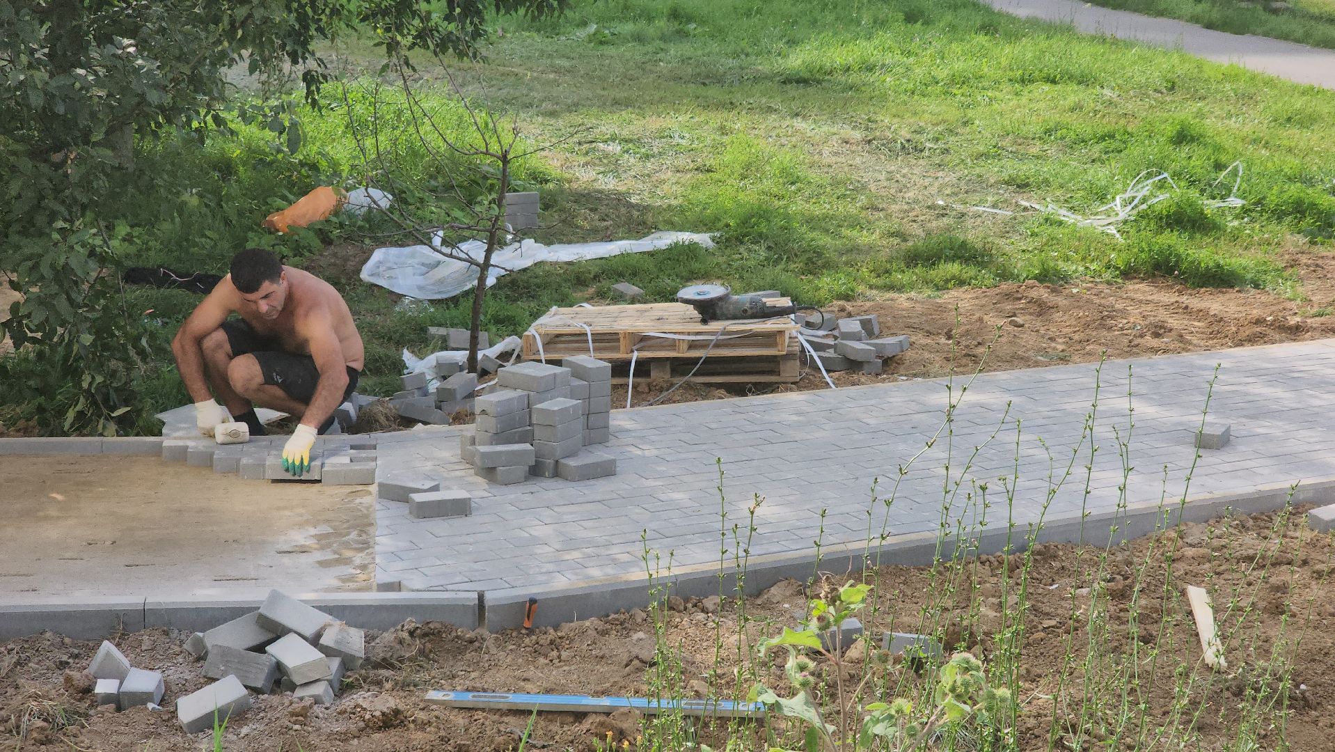 долгопрудный, школа в микрорайоне центральный, новый бульвар, дорожка, плитка, школы,