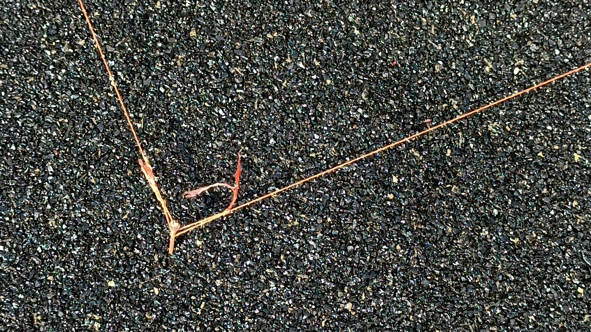 детская площадка, лобня, двор,