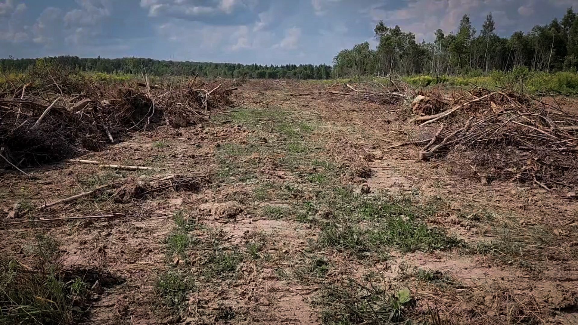 бронницы, сельскохозяйственное предприятие , расширение производства,