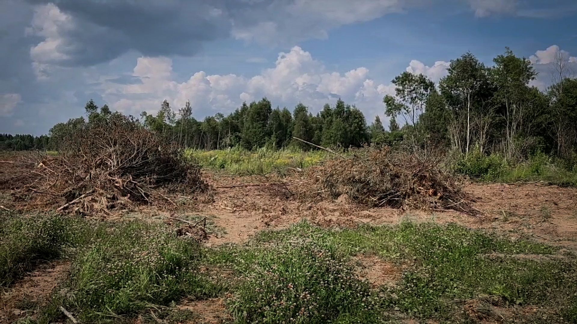 бронницы, сельскохозяйственное предприятие , расширение производства,