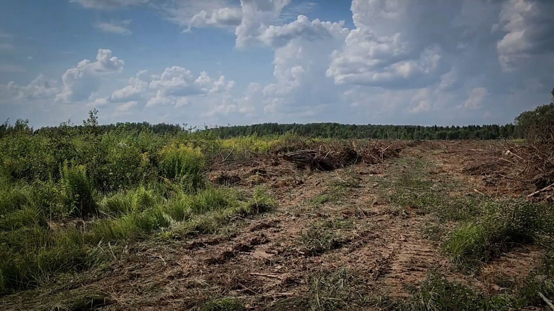 бронницы, сельскохозяйственное предприятие , расширение производства,