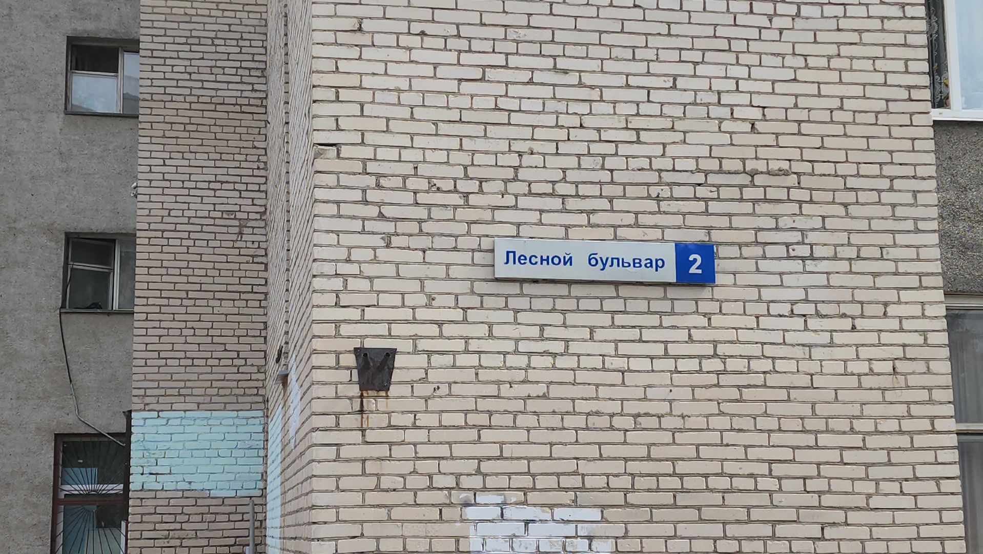 серпухов, протвино, волонтеры серпухова, лесной бульвар в протвине,