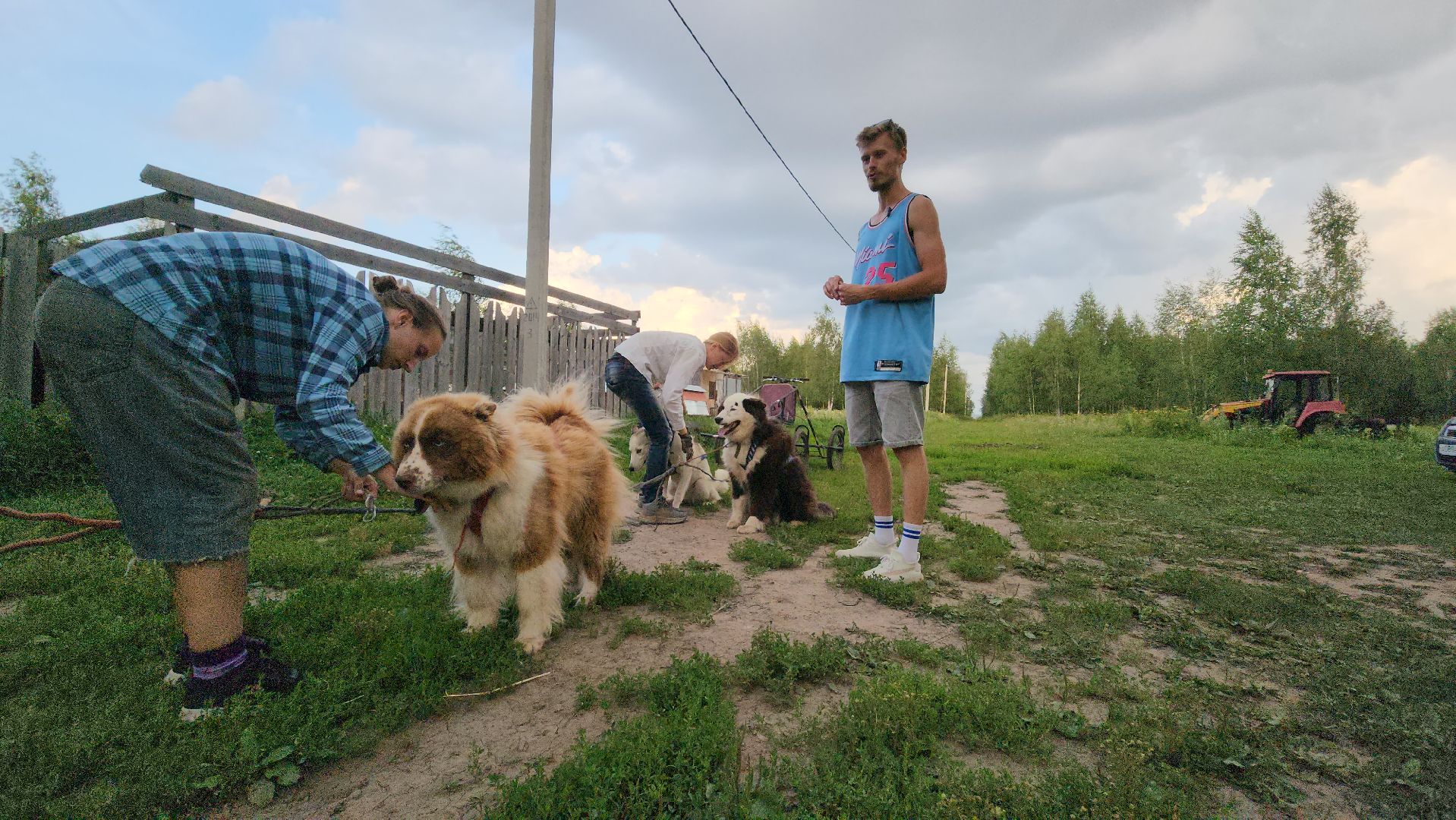 Зарайск,  Туризм, Собачья упряжка,Зооцентр Святополе,