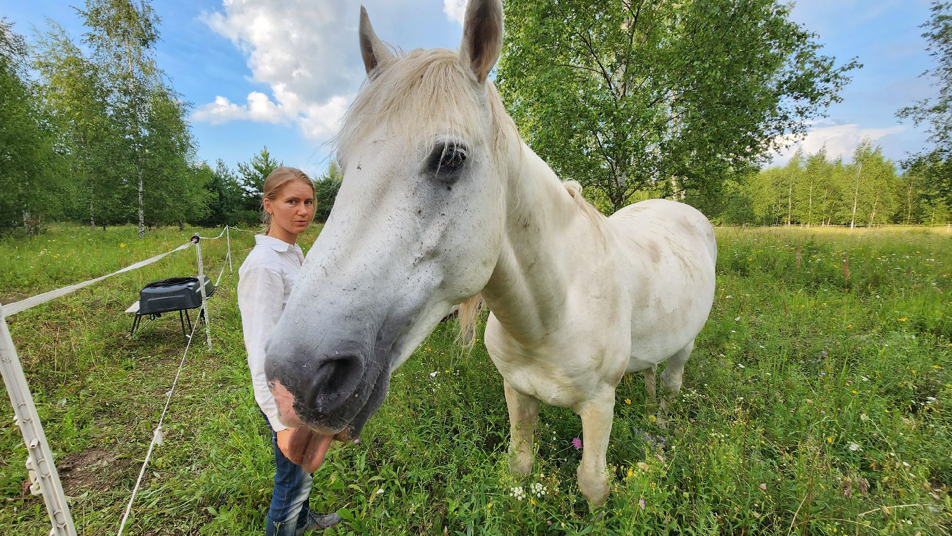 Зарайск,  Туризм, Собачья упряжка,Зооцентр Святополе,