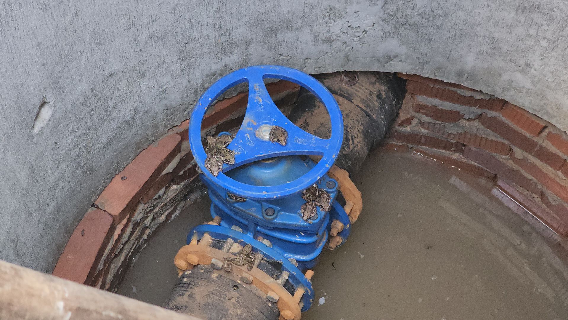 щёлково, замена труб, реконструкция цтп,