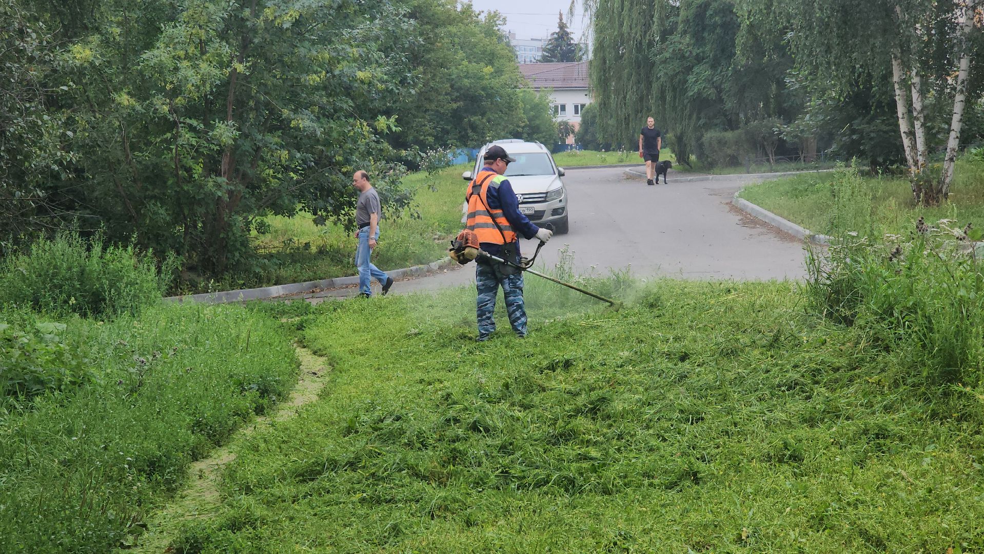 серпухов, подмосковье, стрижка газонов,