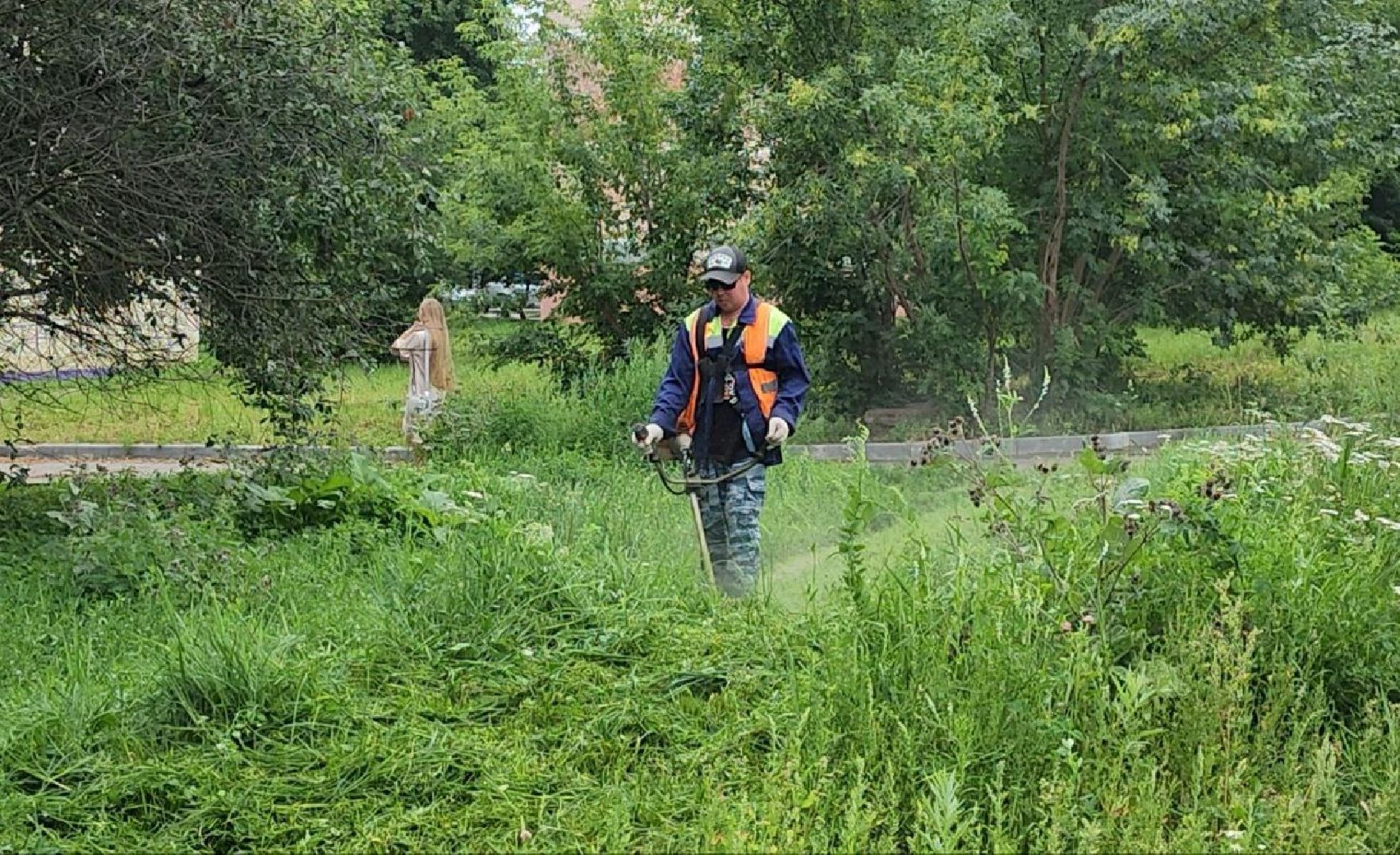 серпухов, подмосковье, стрижка газонов,