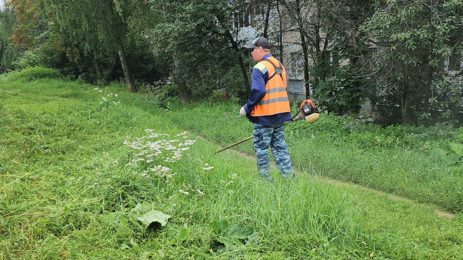 серпухов, подмосковье, стрижка газонов,
