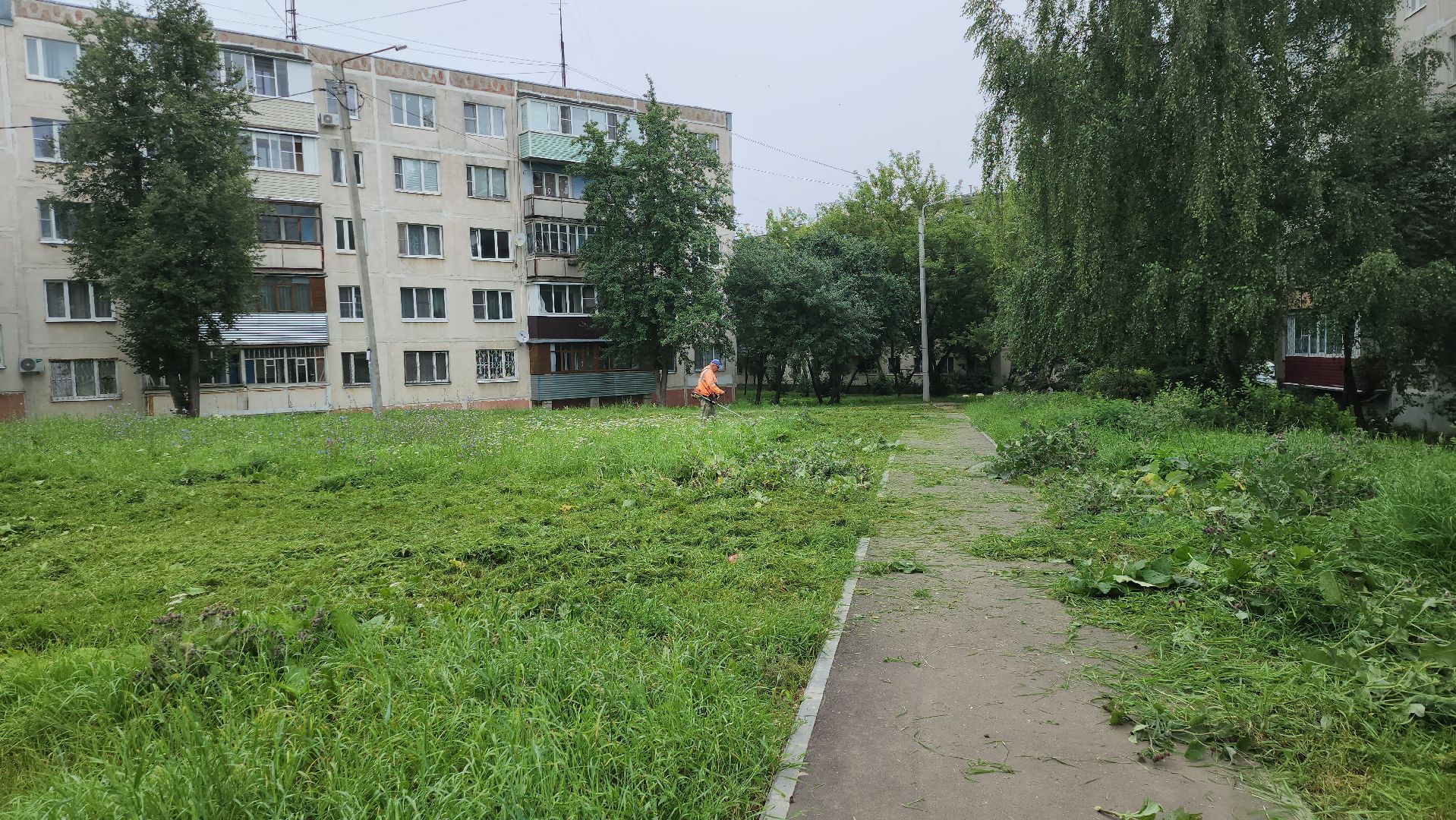 серпухов, подмосковье, стрижка газонов,