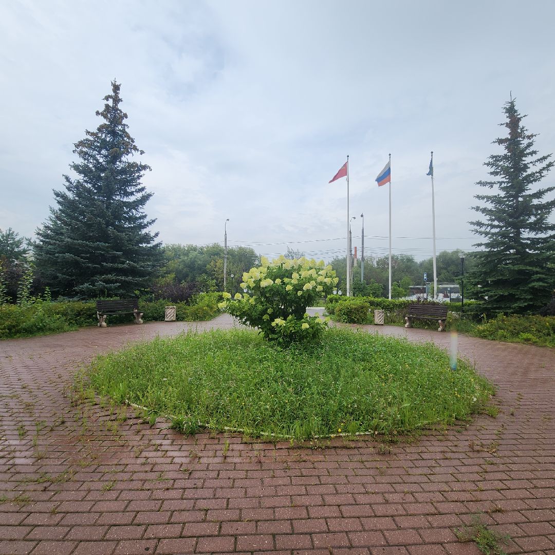 Спорт, Благоустройство , Ремонт спорткомплекса ,