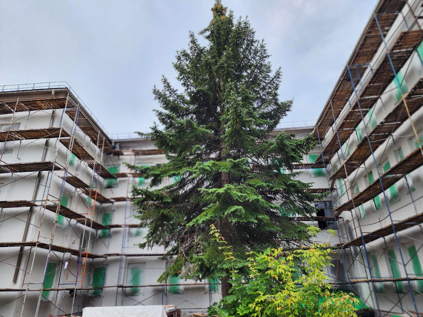 королёв, капитальный ремонт поликлиники 1, губернатор московской области,