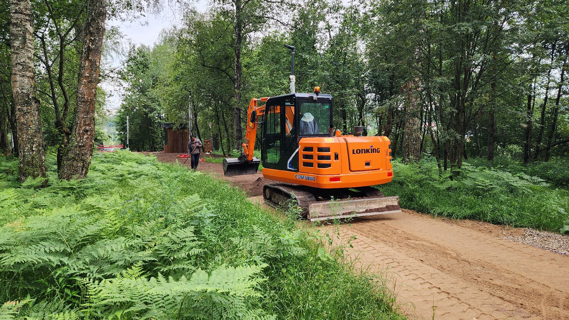 истра, лесопарк, благоустройство,