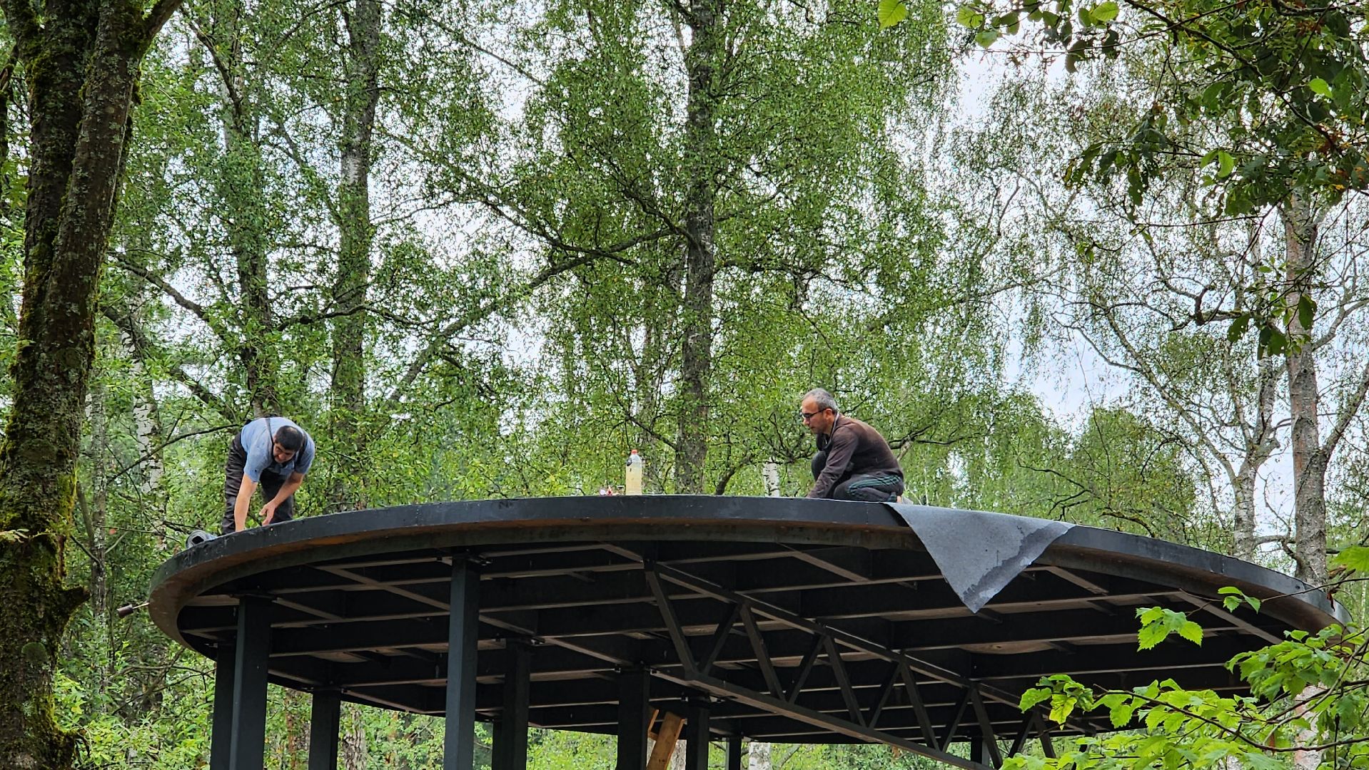 истра, лесопарк, благоустройство,