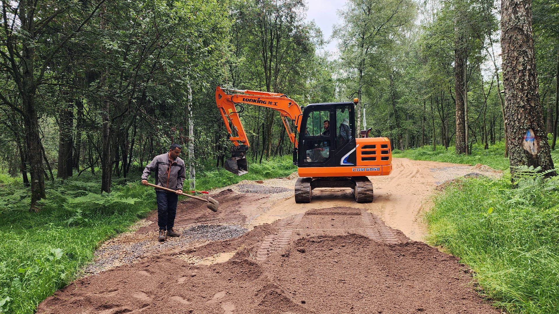 истра, лесопарк, благоустройство,