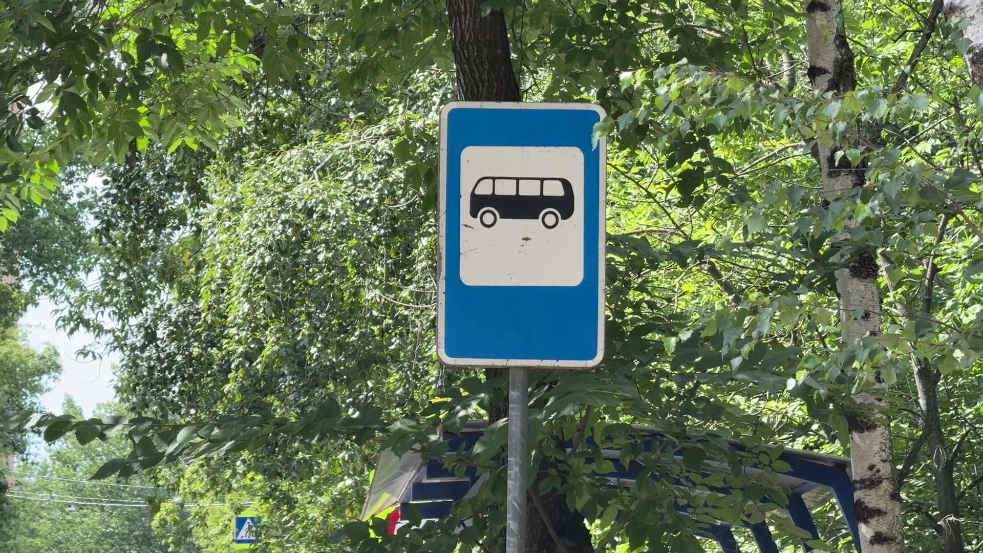 Реутов, остановочный павильон, автобусы, пассажиры,