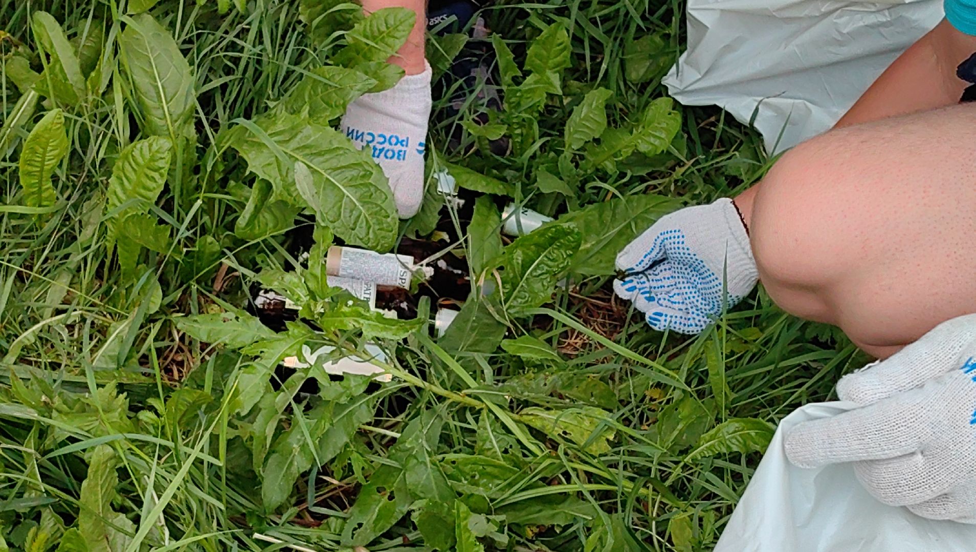 озеро, акция, вода россии, волонтеры, экология,