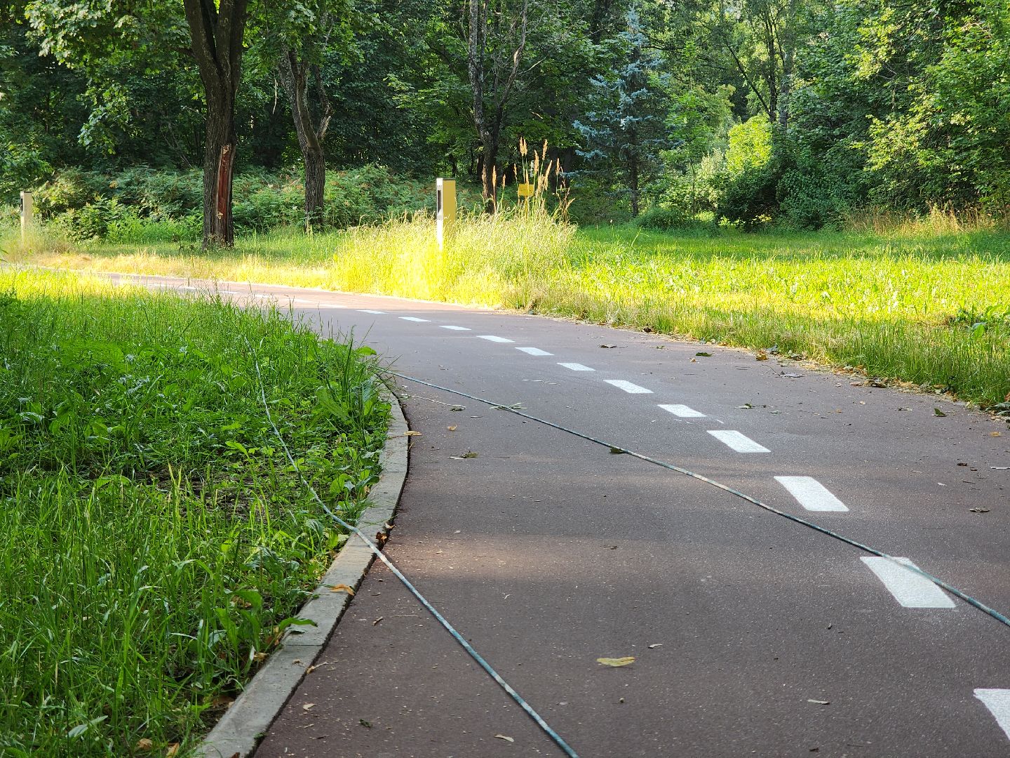 Черноголовка, Благоустройство, Велодорожки,