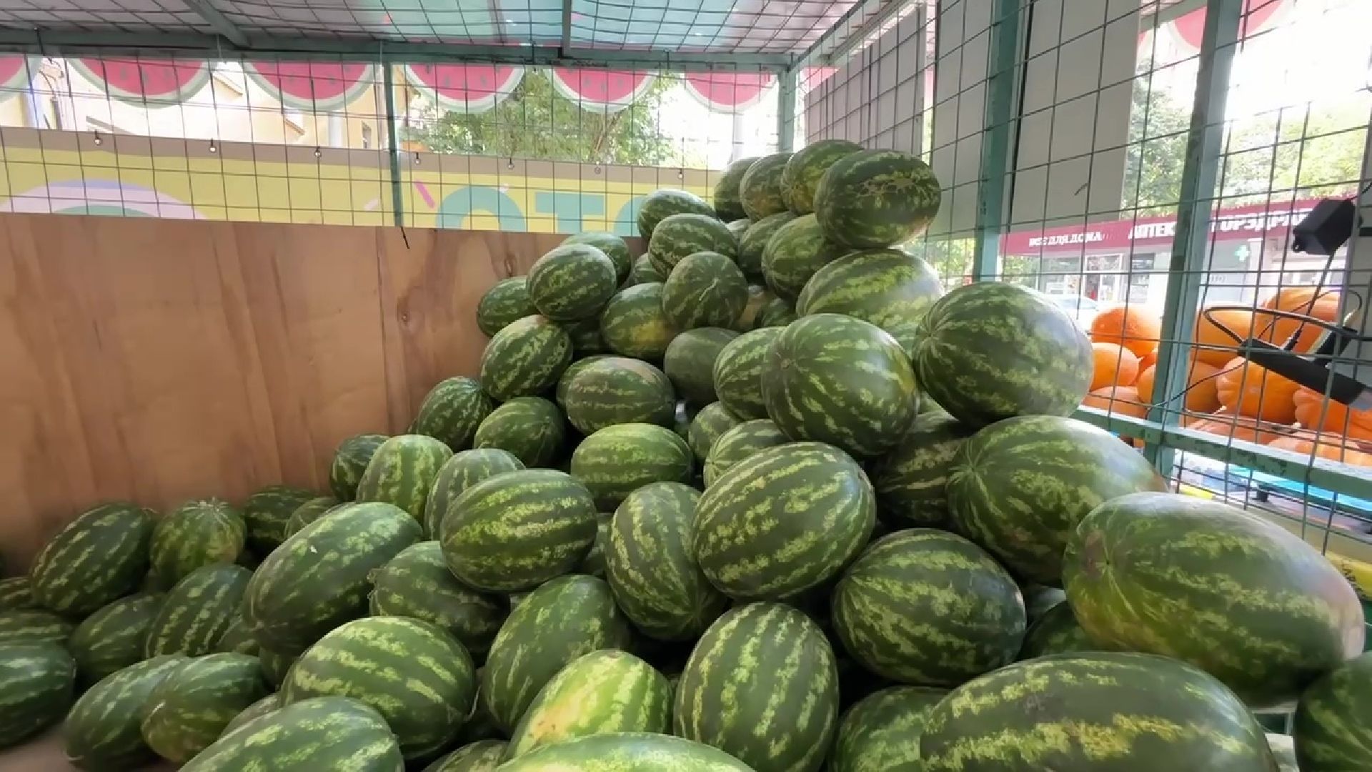 Реутов, бахчевой сезон, арбузы, дыни, продажи,