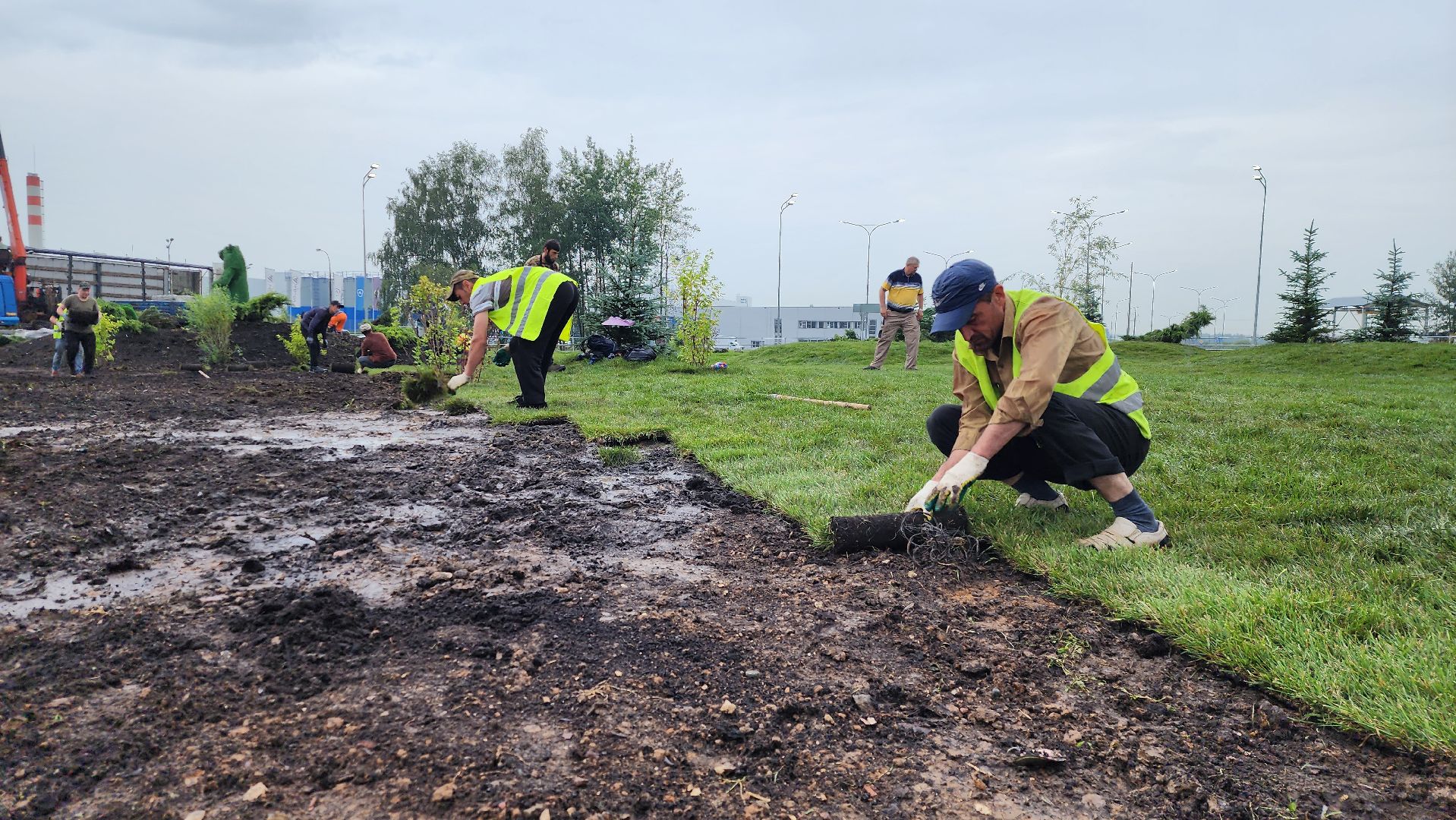 истра, благоустройство, озеленение,