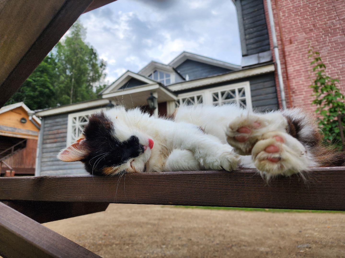 пушкинский округ, усадьба мураново, Фестиваль Поле Фолка, культура,