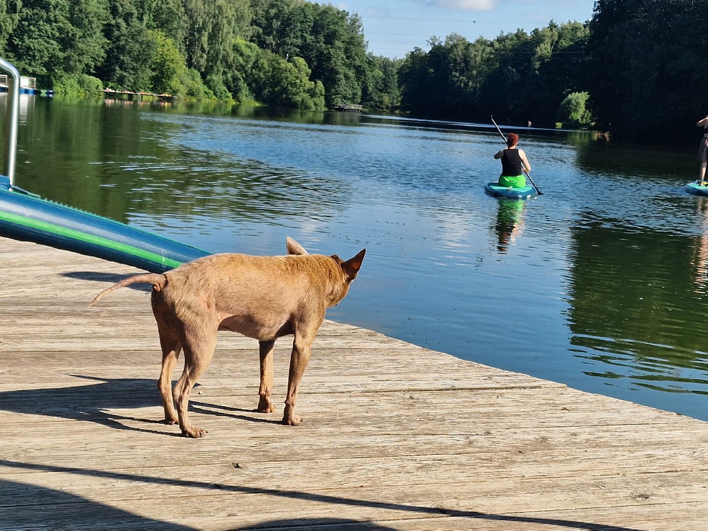 йога на сапбордах, йога на сапе, йога на воде, йога в пехорке, балашиха,