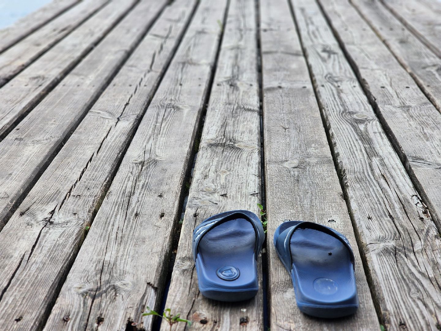 чемпионат по гребле, гребля на байдарках и каноэ, гребная база, старая купавна, богородский городской округ,