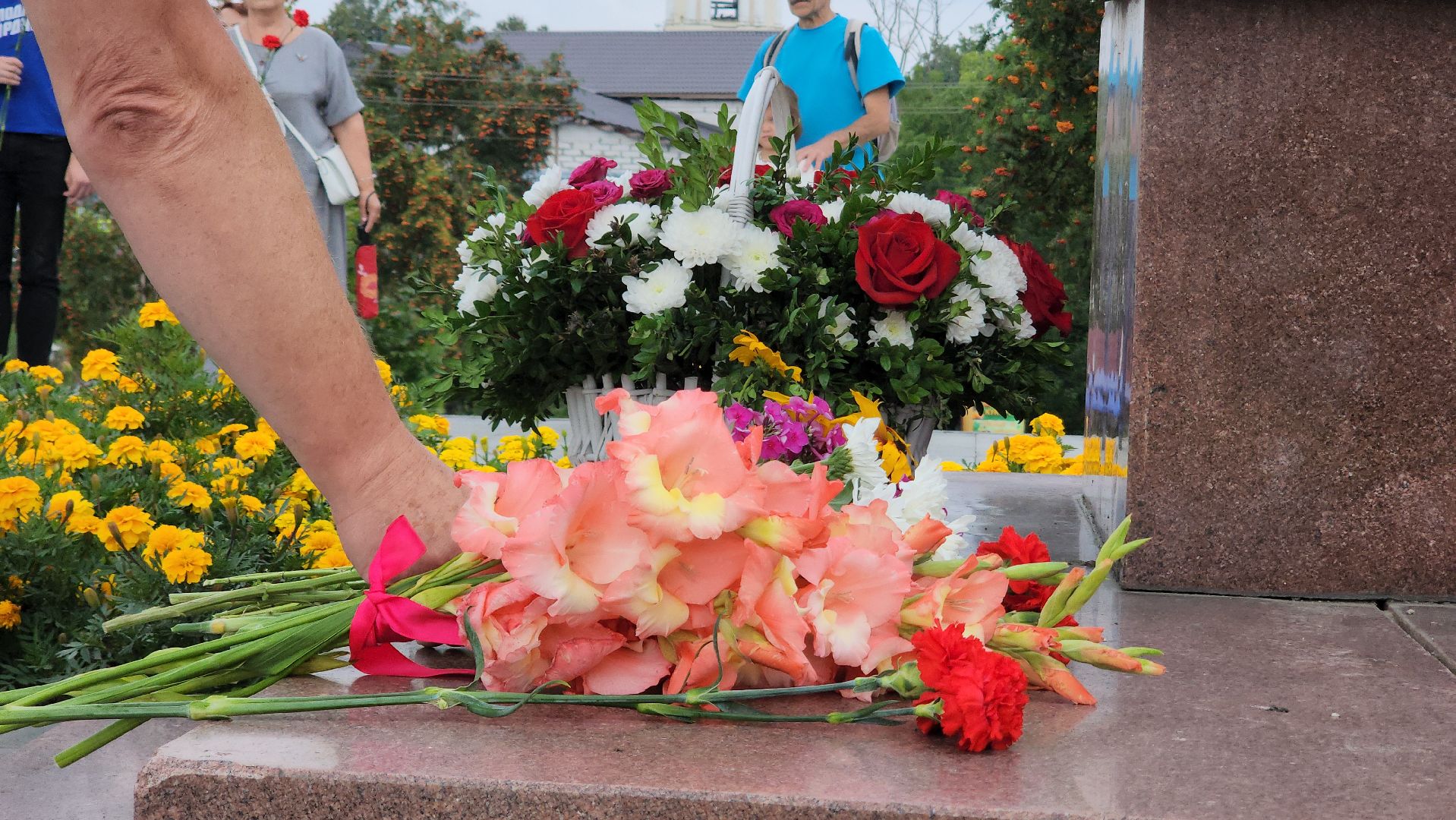 павловский посад, митинг, космонавт ,