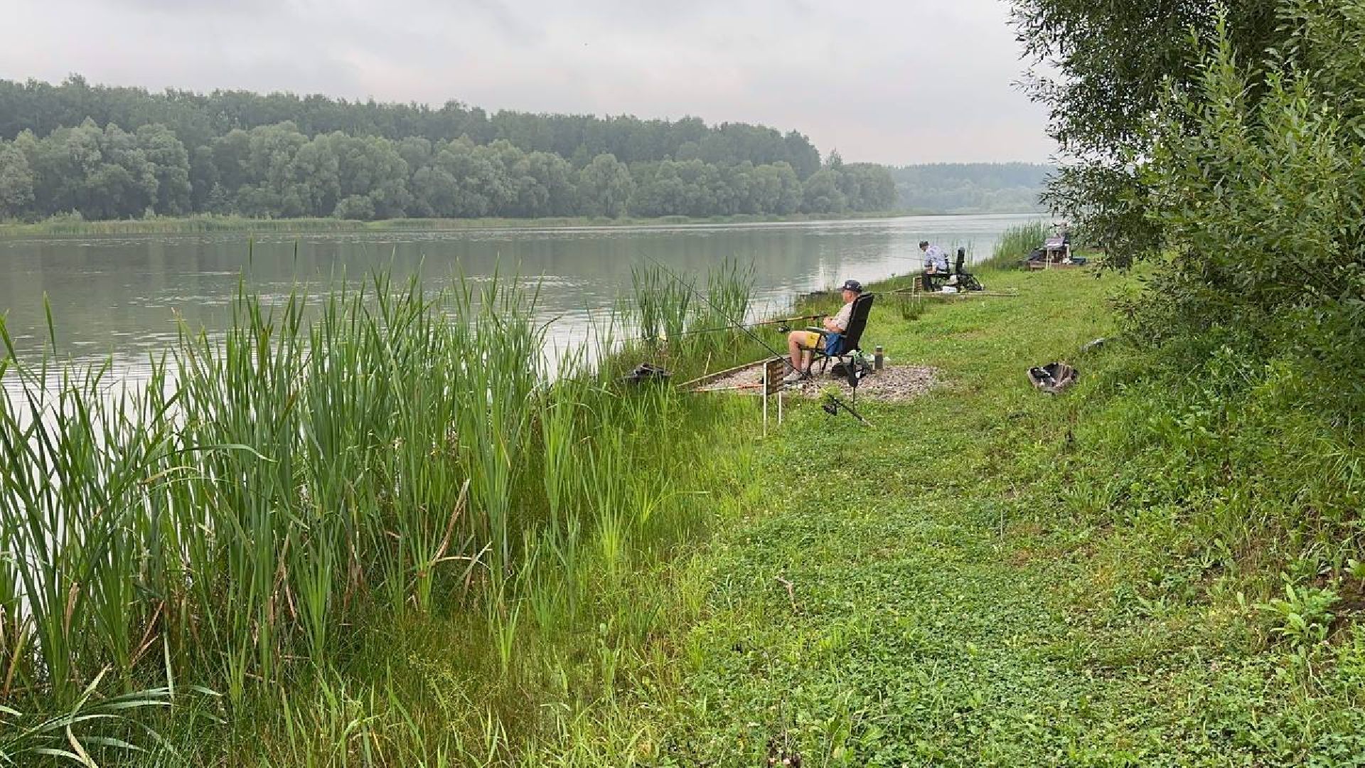 рыбалка, спорт, домодедово,