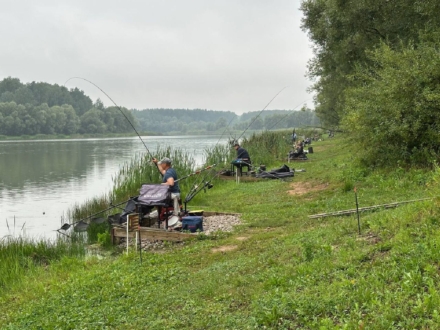 рыбалка, спорт, домодедово,